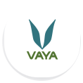 VAYA